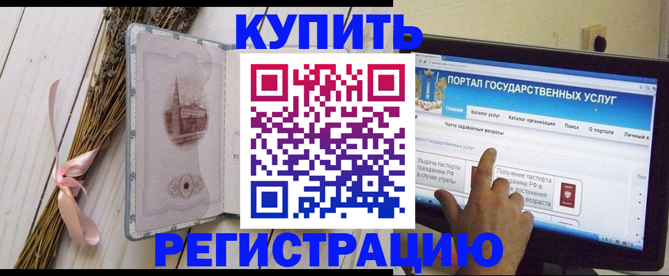 прописка поиск в Ельне